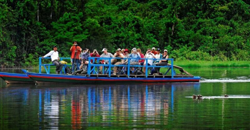 5D||Exploring the Fauna of the Candamo: In Search of Mammals - Transportation Inclusions