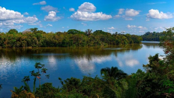 5D||Exploring the Fauna of the Candamo: In Search of Mammals - Frequently Asked Questions