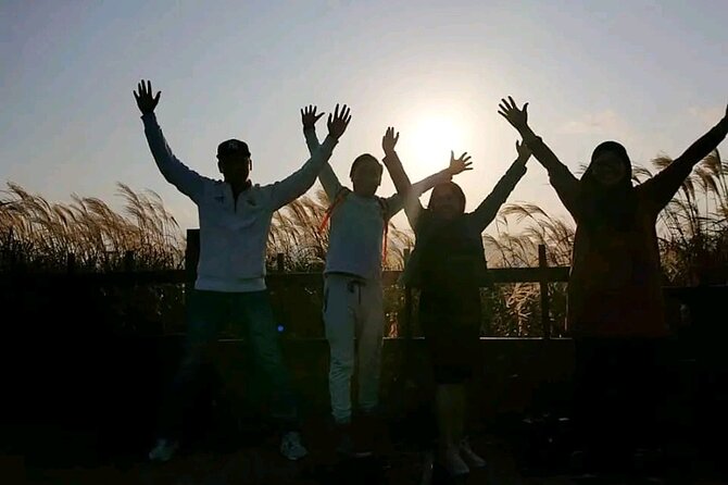 5HOUR Private Taxi Driver Tour in Jeju - Key Points