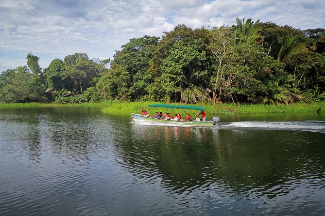 5hr Combo-Panama Canal Monkey Safari & Jungle Walk W/Local Brunch - Transportation and Pickup