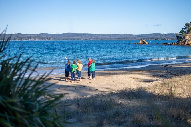 5hr Eden Tour in Nature; Beach, Lookout & National Park - Final Thoughts: Is This Tour Worth It?