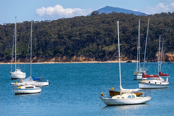 5hr Eden Tour in Nature; Beach, Lookout & National Park - Final Words