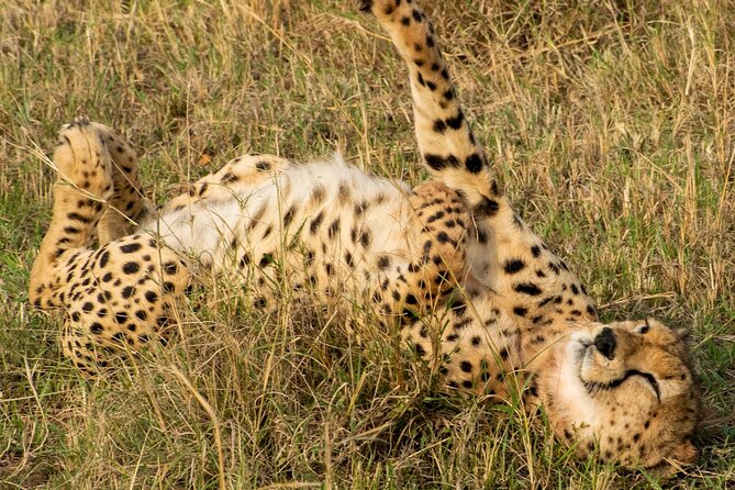 5HRS Nairobi National Park Early Morning Private Tour 4x4 Vehicle - Tour Inclusions and Exclusions