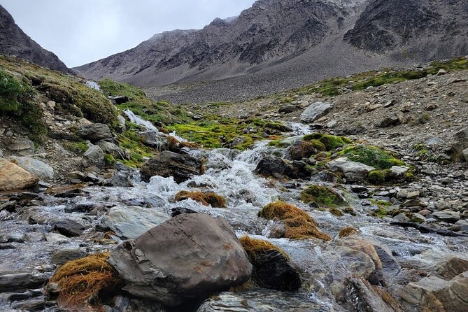 5hrs of Trekking Experience in Martial Glacier - Included Gear and Provisions