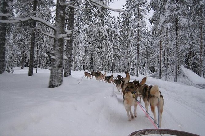 5KM Husky Sled Ride From Levi - Inclusions and Exclusions