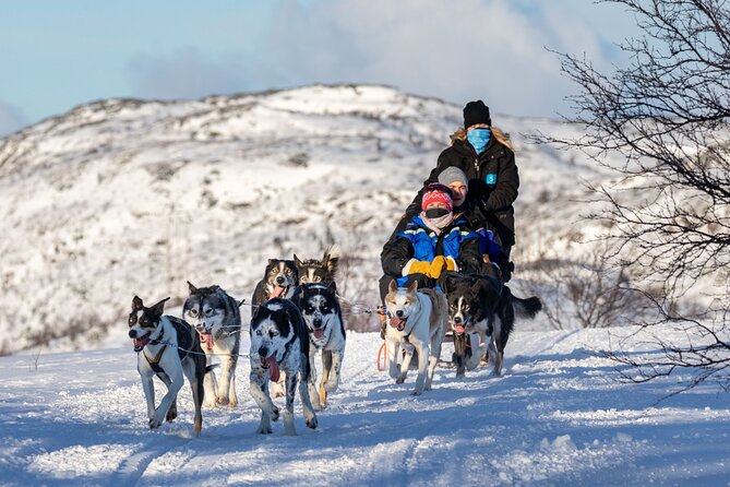 5KM Husky Sled Ride From Levi - Post-Ride Refreshments