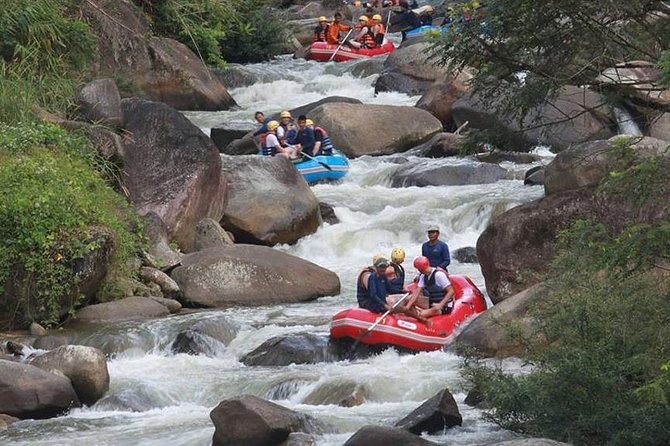 5km White Water Rafting and Jungle Tour From Phuket - Tour Inclusions