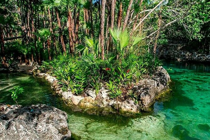 5x1 Tulum, Aldea Maya, Buffet, Cenote, Muyil & Playa Del Carmen - Customer Reviews