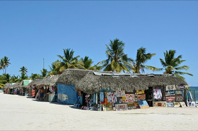 6 + 1 Full Day Isla Saona Tour and Snorkel in Natural Pool Mangroves Punta Cana - Pricing and Cancellation
