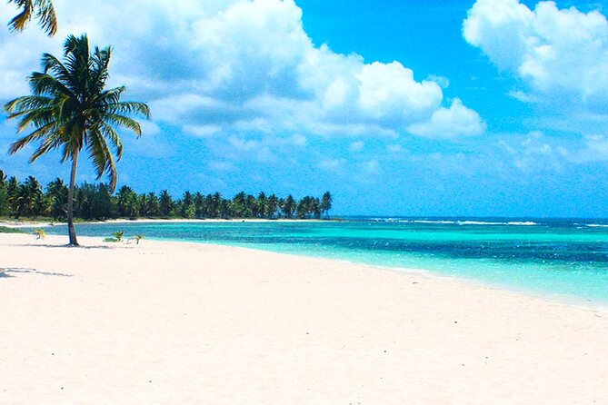 6 + 1 Full Day Isla Saona Tour and Snorkel in Natural Pool Mangroves Punta Cana - Explore Isla Saona
