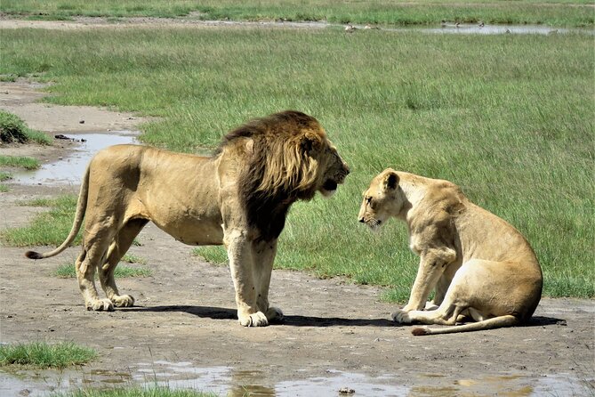 6- Day Adventure Lodge Safari to See Migration - Accommodation Options