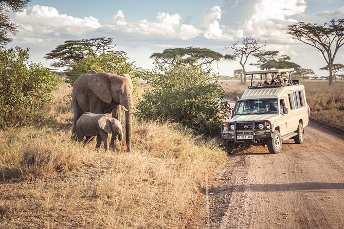 6- Day Adventure Lodge Safari to See Migration - Cultural Experiences
