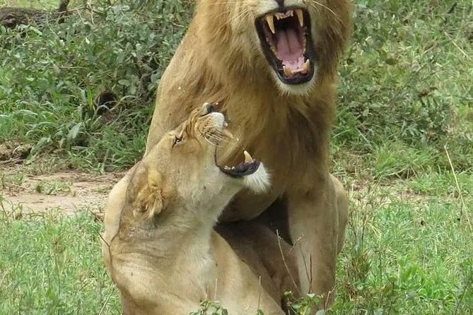 6- Day Adventure Lodge Safari to See Migration - What to Pack
