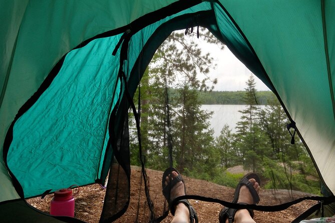 6-Day Algonquin Explorer Canoe Trip - Wildlife Sightings