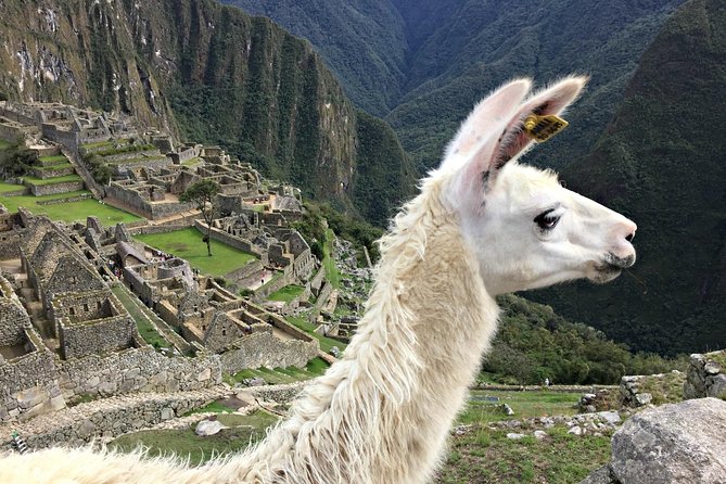 6-Day ||All Included|| Cusco - MachuPichu & Maras Moray - Humantay ||Private|| - Inclusions