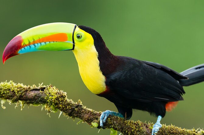 6-Day All Inclusive Guided Jungle Tour From Iquitos at Maniti Eco-Lodge - Tour Reviews and Ratings