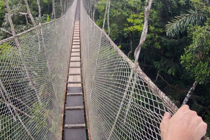 6-Day All Inclusive Guided Jungle Tour From Iquitos at Maniti Eco-Lodge - Wildlife Spotting and Jungle Hiking