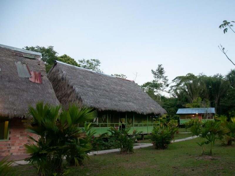 6-Day All Inclusive Guided Jungle Tour From Iquitos - Itinerary Highlights