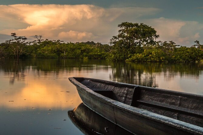6-Day All Inclusive Private Guided Pacaya Samiria National Reserve From Iquitos - Pacaya Samiria National Reserve