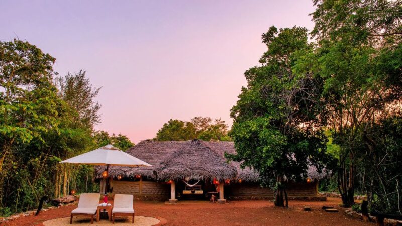 6-Day Authentic Experiences in Sri Lanka - Key Points