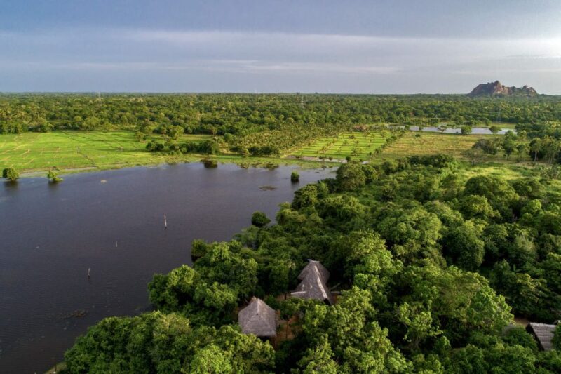 6-Day Authentic Experiences in Sri Lanka - Accommodation Details