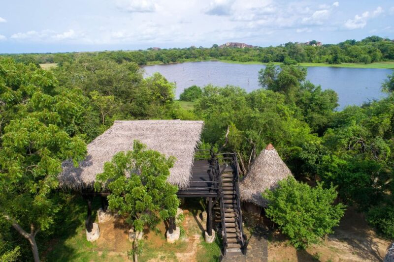 6-Day Authentic Experiences in Sri Lanka - Local School Visit and Interaction