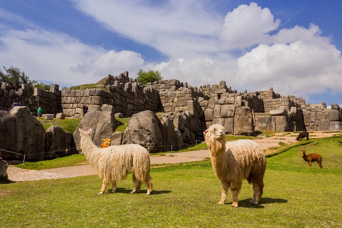 6 Day Best of Peru: Cusco, Machu Picchu and Lake Titicaca Tour - Pricing and Optional Fees