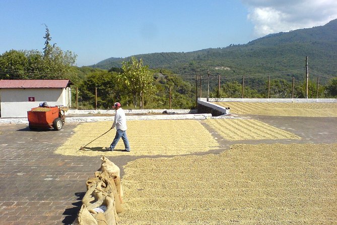 6-Day Best of West El Salvador : Cerro Verde, Coffe Route, Maya Ruins - Preparing for the Tour Itinerary