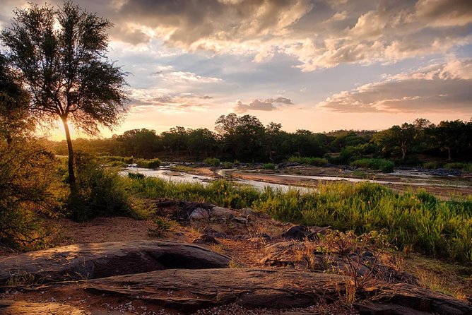 6 Day Budget Kruger National Park Safari - Positive Traveler Reviews