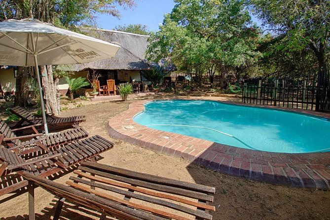 6 Day Budget Kruger National Park Safari - Moholoholo Rehabilitation Centre Visit