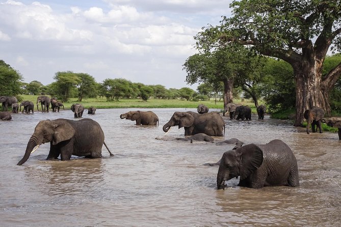6-Day Budget Lodge Safari in Tanzania - Accessibility