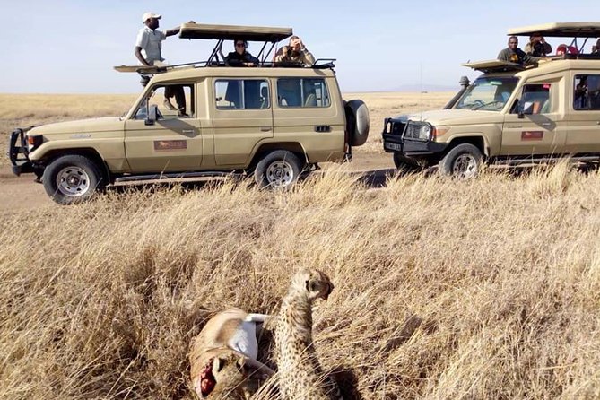 6-Day Budget Lodge Safari in Tanzania - Reviews