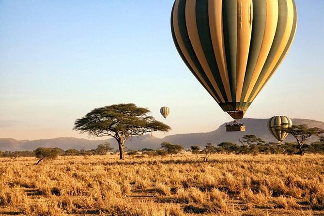 6-Day Budget Lodge Safari in Tanzania - Accommodation