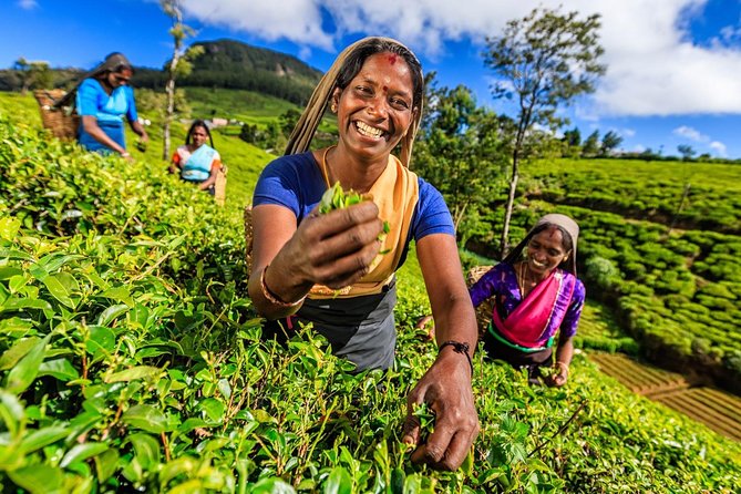 6-Day Central Highlands UNESCO World Heritage Adventure Tour - Trekking and Activities