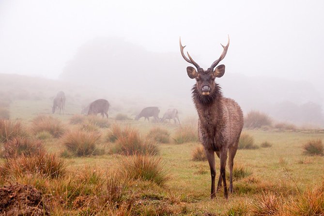6-Day Central Highlands UNESCO World Heritage Adventure Tour - Additional Information