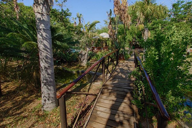 6 Day Classic Kruger National Park Safari From Johannesburg - Blyde River Canyon Exploration