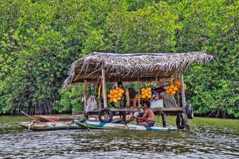 6-Day Coastal Honeymoon Tour - Turtle Hatchery Visit