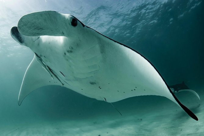 6-Day Coral Coaster From Perth to Exmouth One-Way via Monkey Mia Ningaloo Reef - Health and Safety