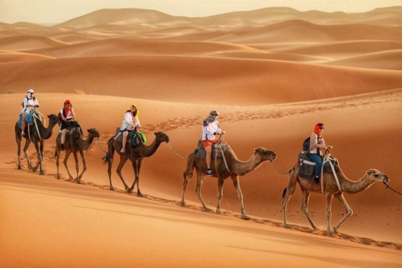 6-Day Desert Tour From Marrakech to Tangier - Included Services