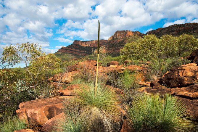 6-Day Eyre Peninsula & Flinders Ranges Adventure Tour - What to Bring