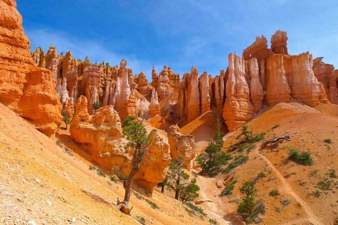 6-Day Famous West Coast National Parks Tour From SF - Tour Operations and Adjustments