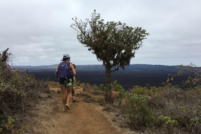 6-Day Galapagos Island Hopping: Kayaking, Mountain Biking and Volcano Hike - Key Points