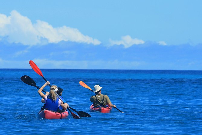 6-Day Galapagos Island Hopping: Kayaking, Mountain Biking and Volcano Hike - Kayaking in Santa Cruz