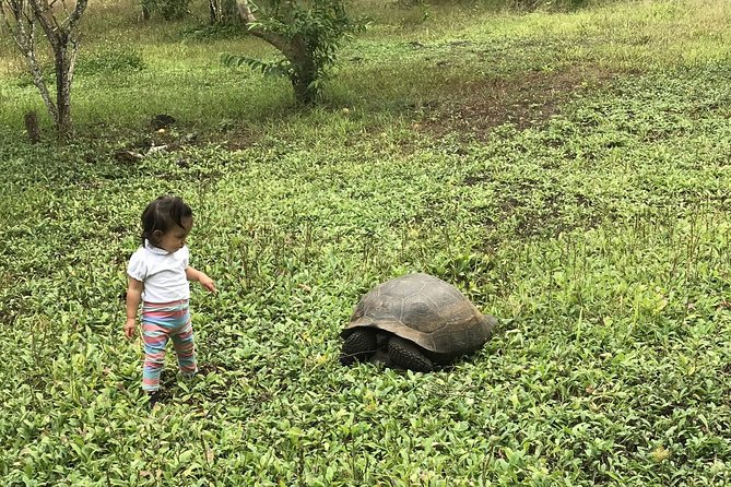 6-Day Galapagos Island Hopping: Kayaking, Mountain Biking and Volcano Hike - Preparing for Your Adventure