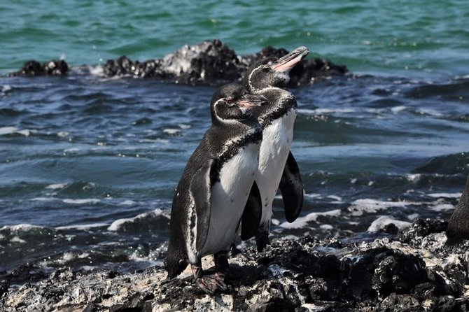 6-Day Galapagos Island Hopping Tour: Santa Fe, Santa Cruz and Los Tuneles - Detailed Itinerary