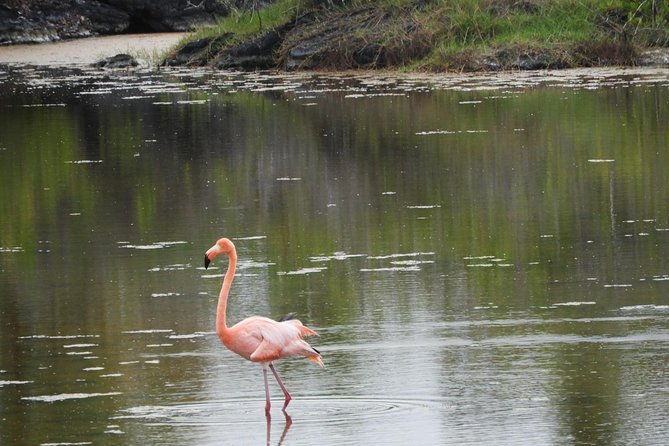 6-Day Galapagos Island Hopping Tour: Santa Fe, Santa Cruz and Los Tuneles - Safety Precautions