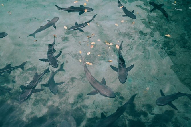 6-day Galapagos on a Budget Experience - Accessibility and Fitness