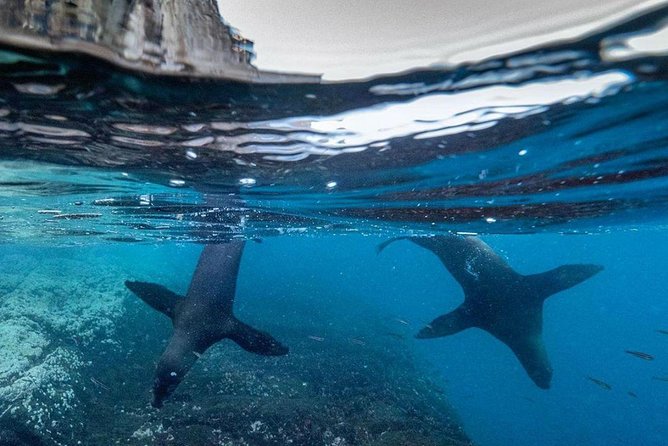 6-day Galapagos on a Budget Experience - Group Size and Cancellation