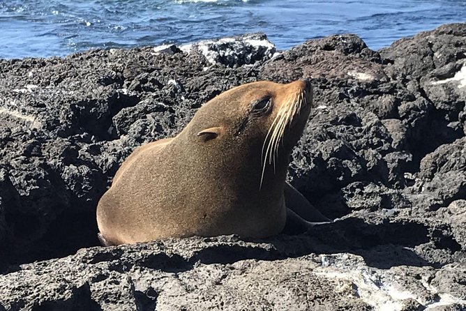 6-Day Galapagos Superior Adventure (Tourist Superior Class) - Tour Overview