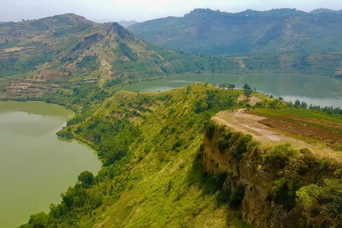 6 Day Gorilla Tracking and Wildlife Safari - Guide and Customization